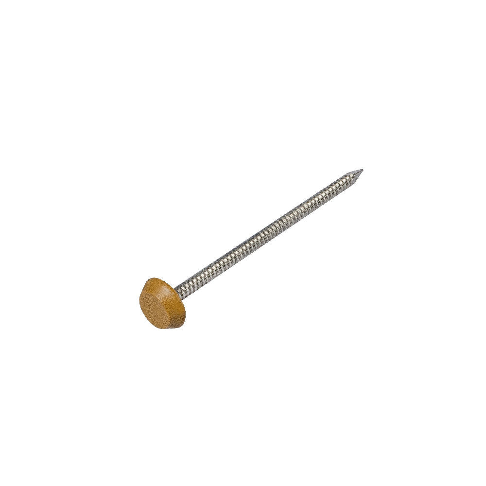 Light Oak Plastic Top Nails 30mm (Box of 250)