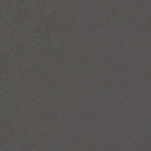 Pluto Swatch image 