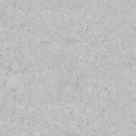 Solid light gray color swatch