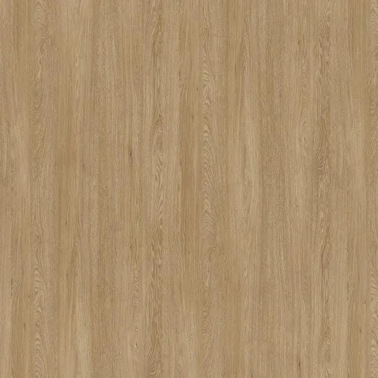 coastal sand swatch