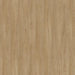 coastal sand swatch