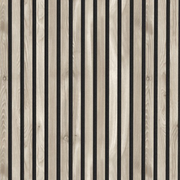 Silver birch swatch