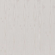 Silver Birch Ceiling Cladding - 4m x 250mm x 8mm